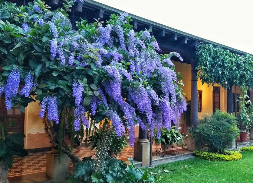 Outdoor view Photo