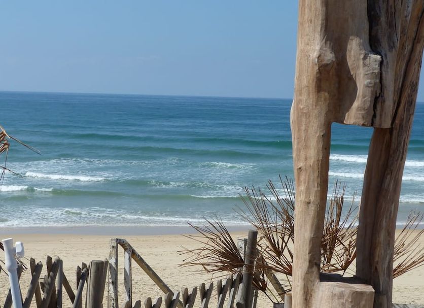 Beach Photo