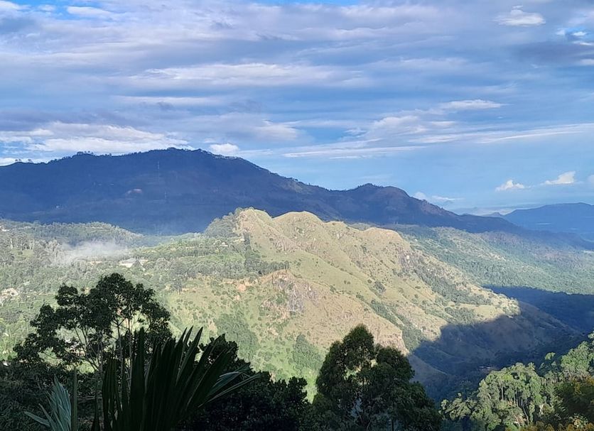 Outdoor view Photo