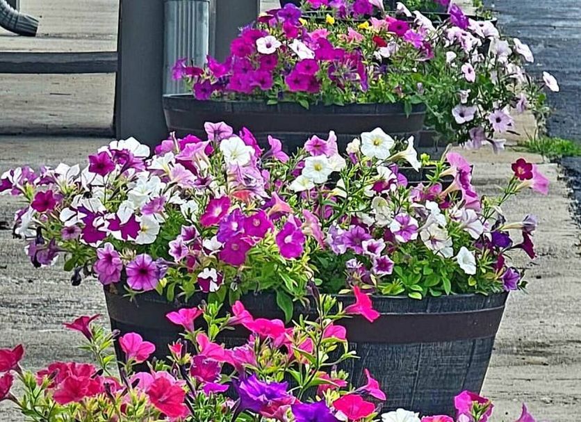Outdoor view Photo