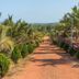 Outdoor view
