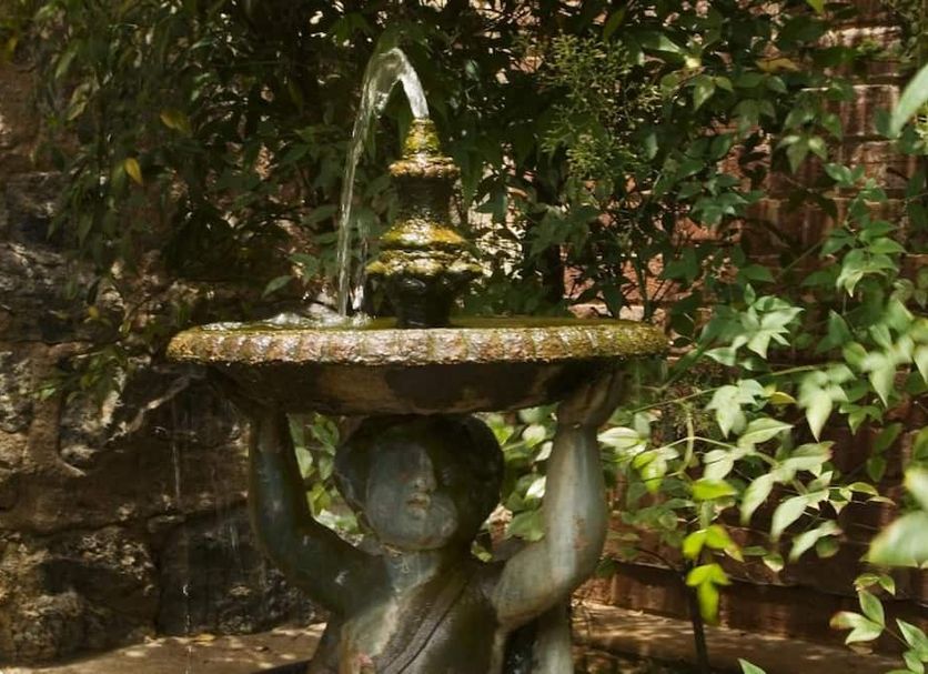 Other Photo