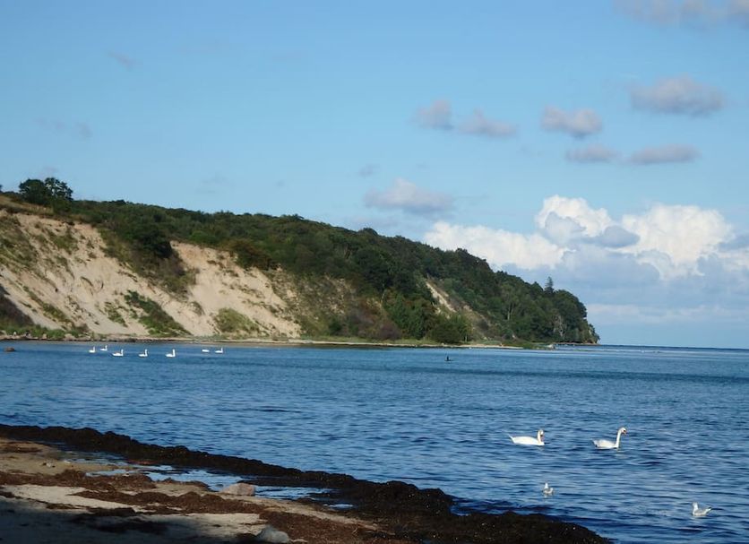 Other Photo