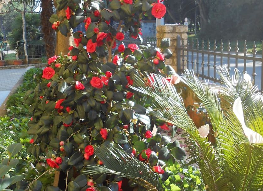 Outdoor view Photo