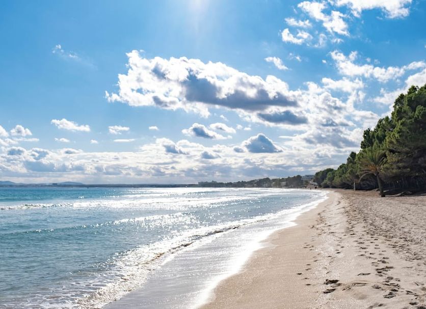 Beach Photo