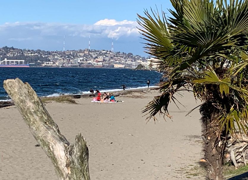 Beach Photo