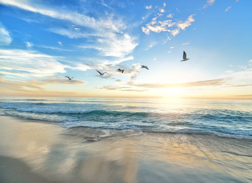 Beach Photo
