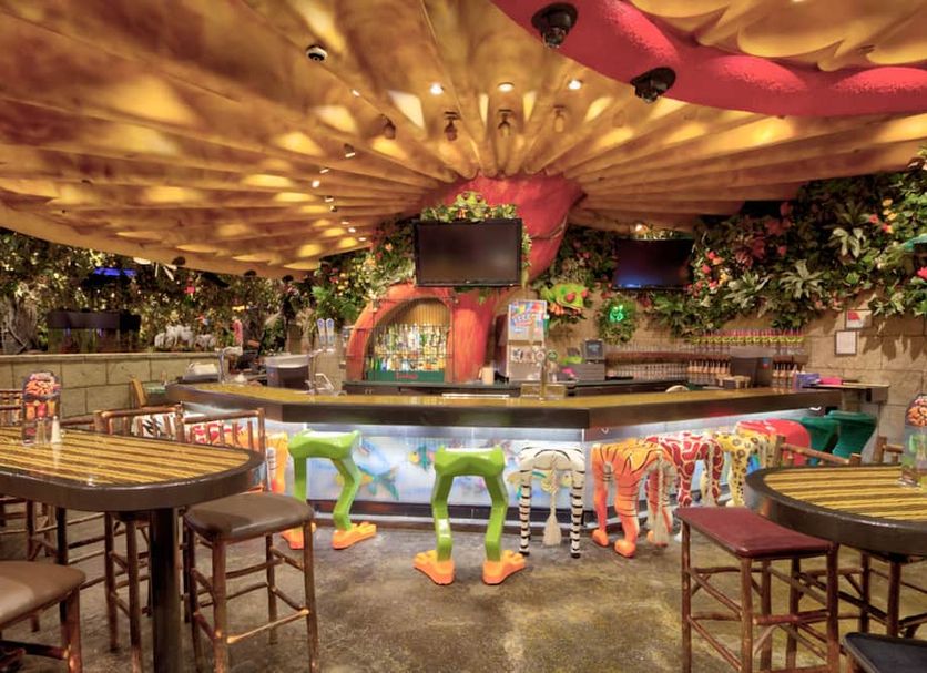 Bar Photo