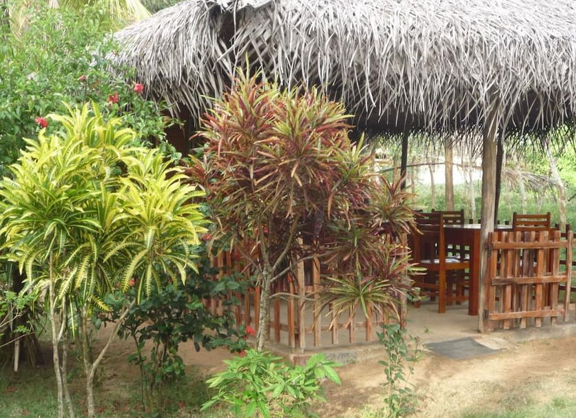 Other Photo