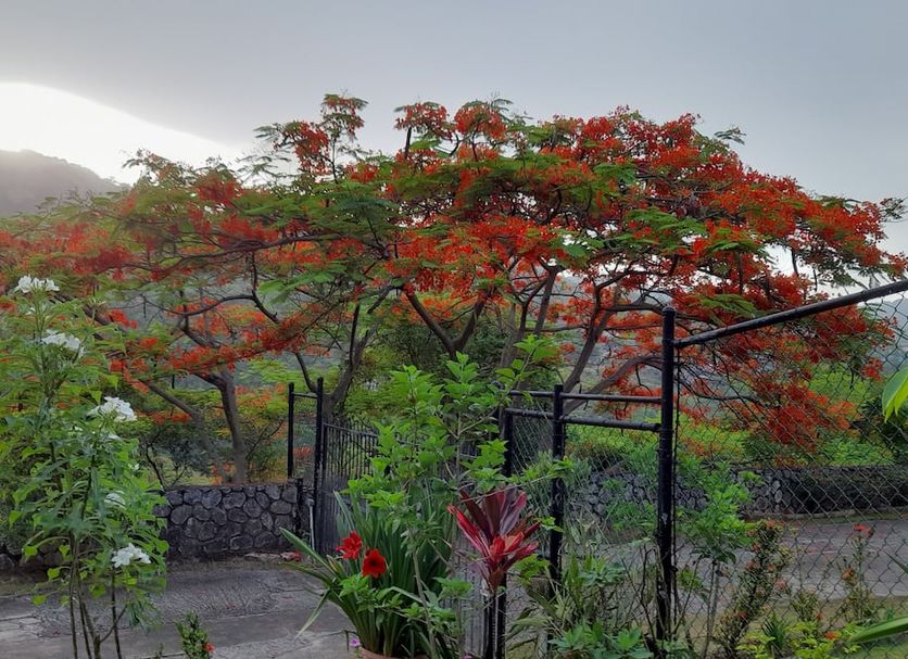 Outdoor view Photo