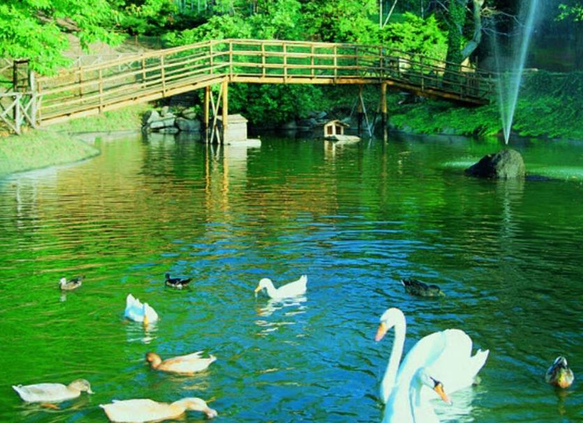 Other Photo