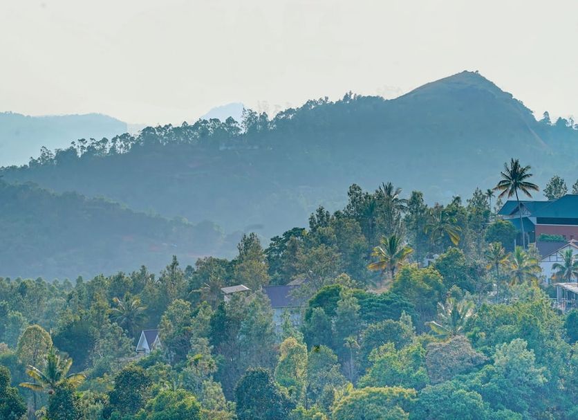 Outdoor view Photo
