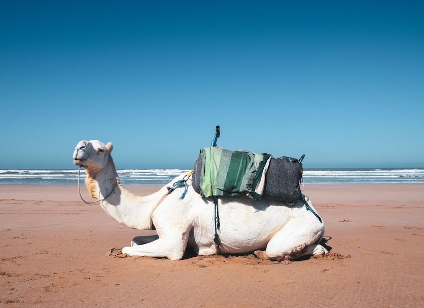 Beach Photo