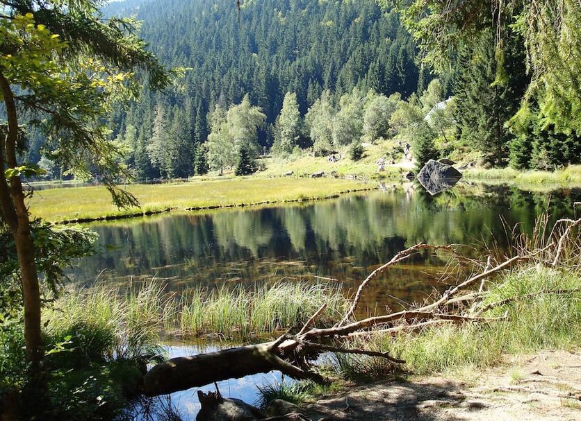 Outdoor view Photo