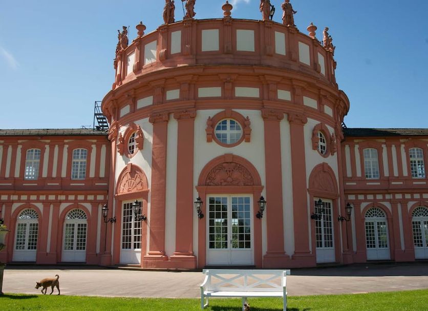 Other Photo