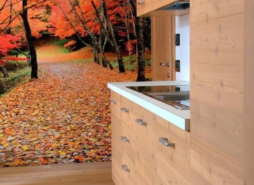 Kitchen Photo