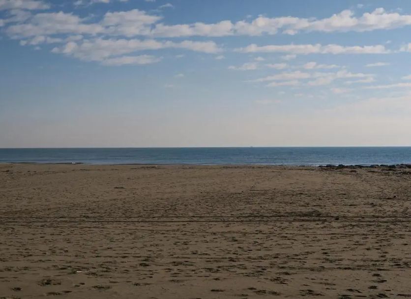 Beach Photo