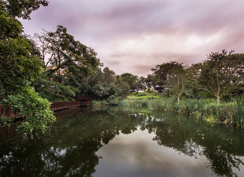 Outdoor view Photo