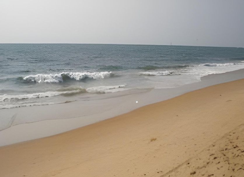 Beach Photo