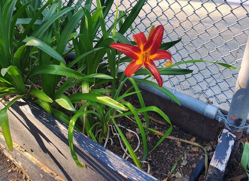 Outdoor view Photo