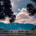 Outdoor view