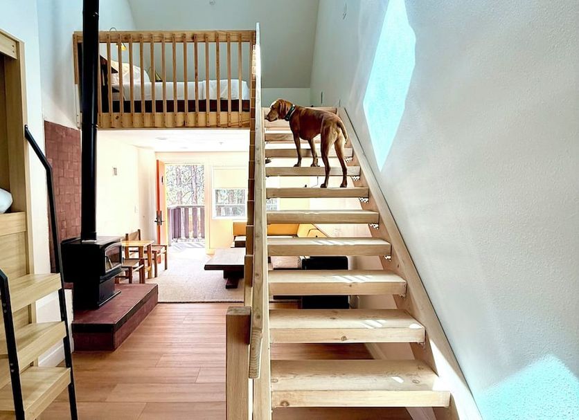 Stairs Photo