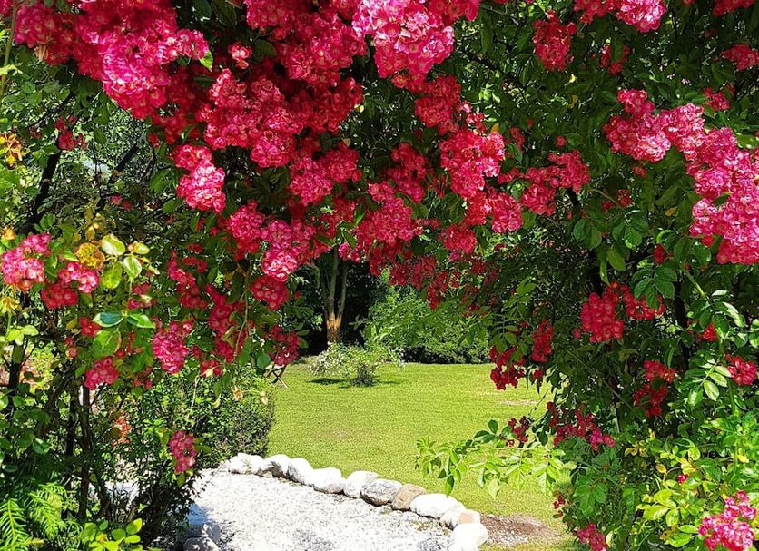 Outdoor view Photo