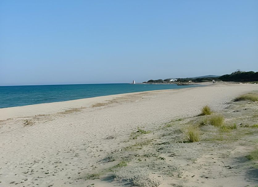 Beach Photo
