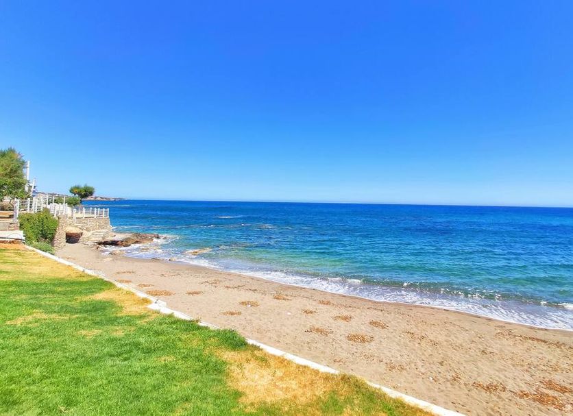 Beach Photo