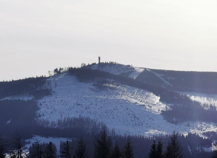 Other Photo