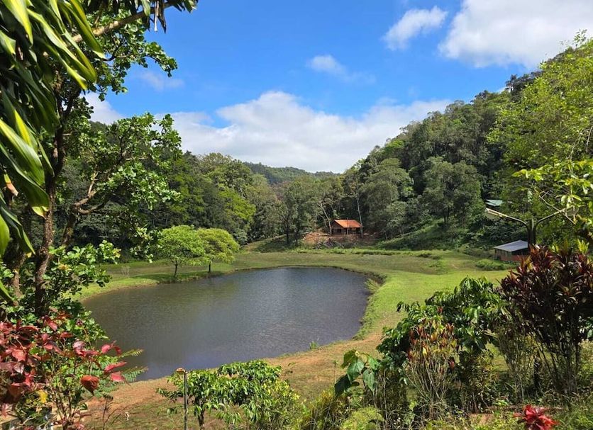 Outdoor view Photo