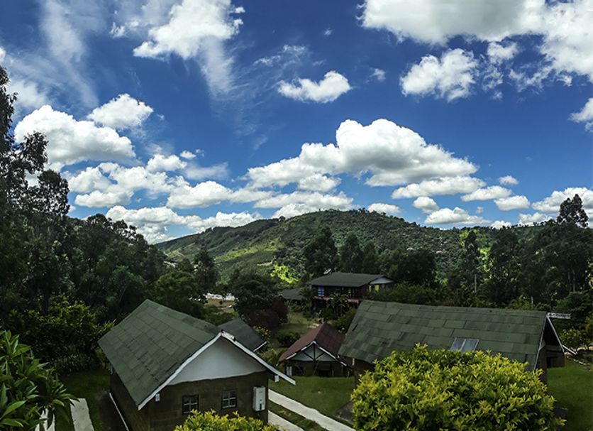 Outdoor view Photo