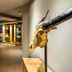 Hotel amenity