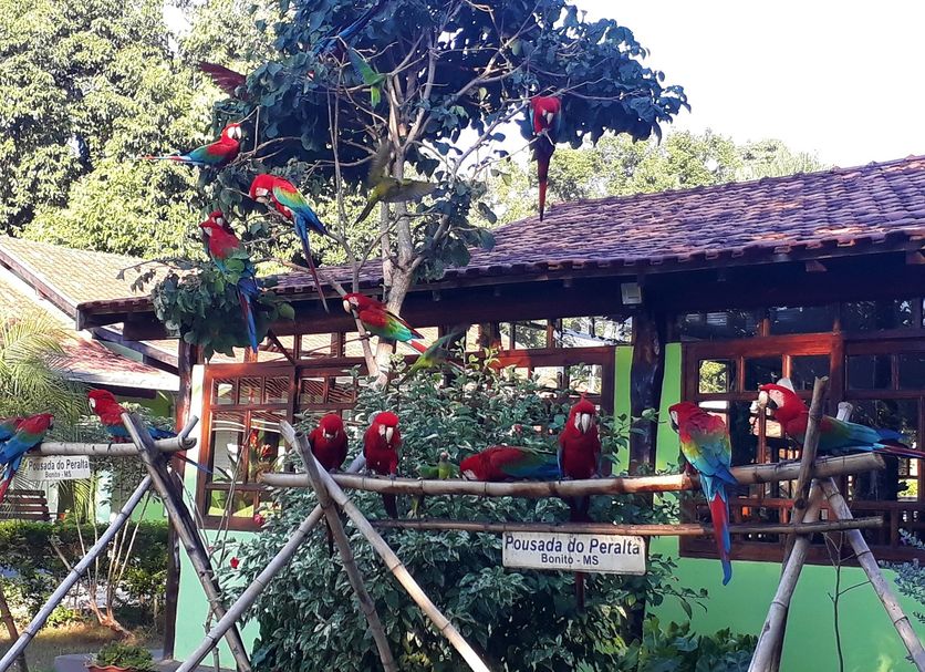 Outdoor view Photo