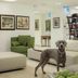 Pet friendly