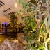 Hotel amenity